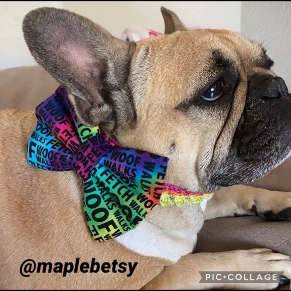 Handmade Rainbow “dog words” bow bowtie dog necklace NEW one of a kind unique